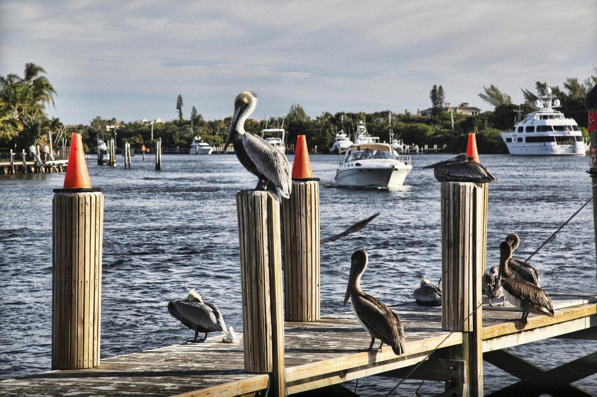 Floranada Condos Pompano Beach Zewnętrze zdjęcie